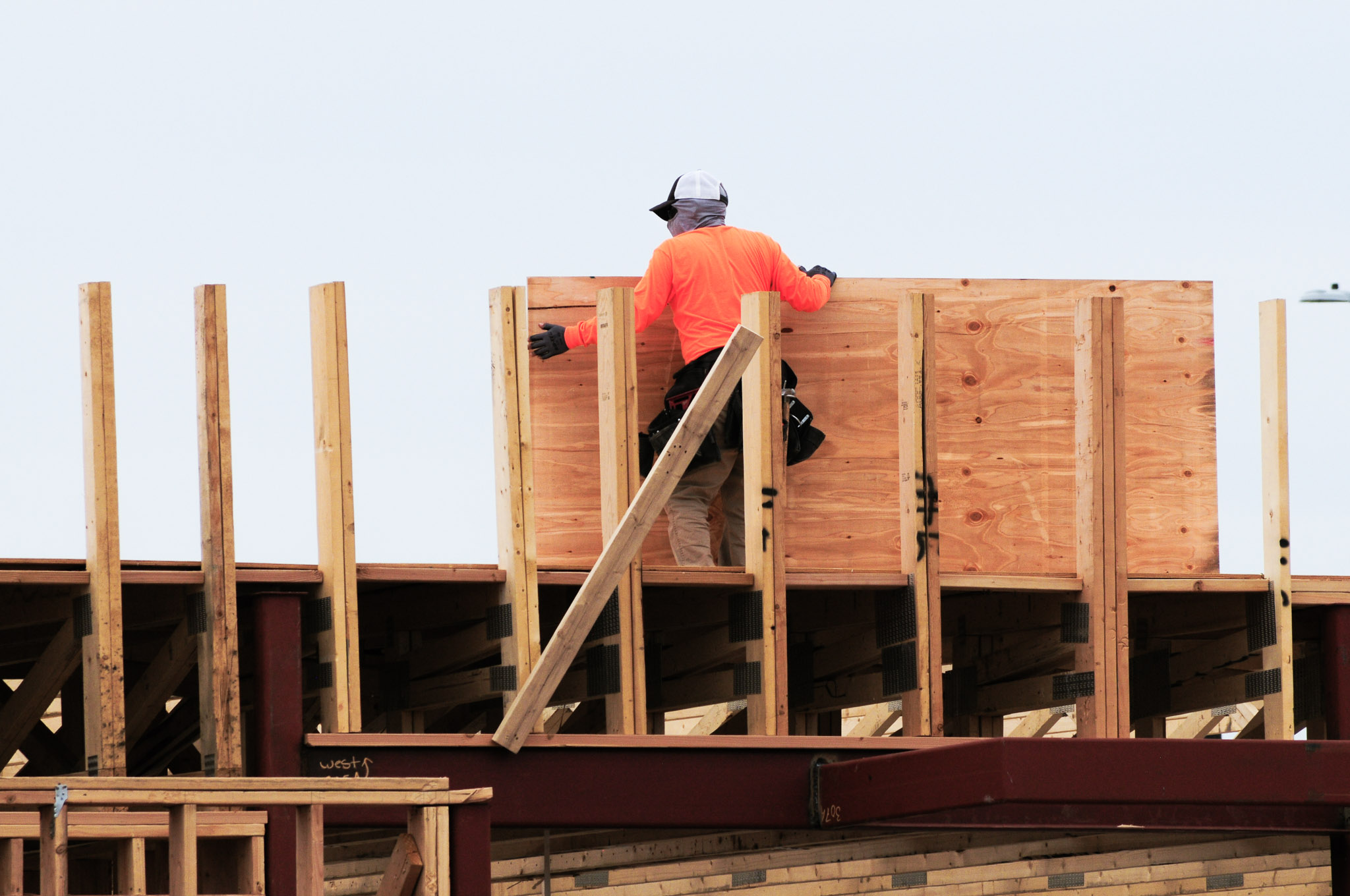 Carpenter at work carrying a plywood panel and walking on top of a construction